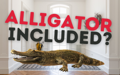 Everyone Wants a Home in Florida – Even Alligators!